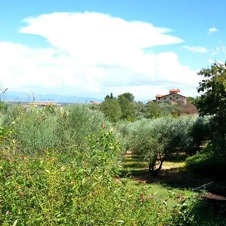 Villa Pandolfini 2